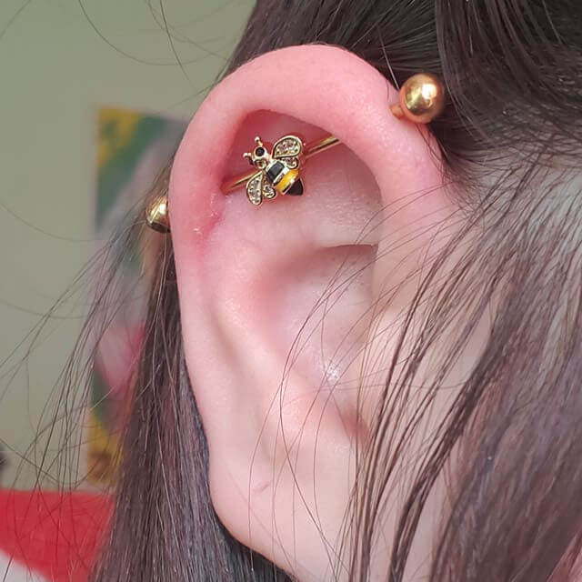 Industrial Bar Piercing Everything You Need to Know EAL Care